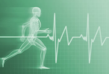Illustration Human Medicine, Medical and Sport Science